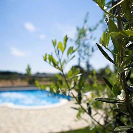 Marceta - Apartments & Rooms With Swimming Pool ฟาชานา ภายนอก รูปภาพ
