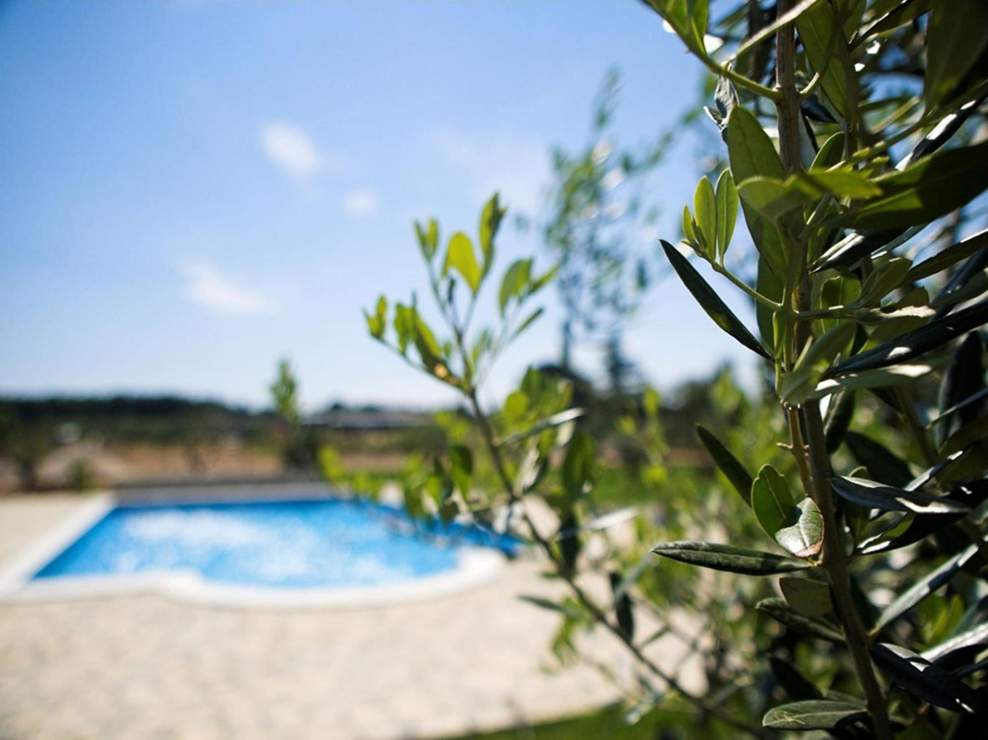 Marceta - Apartments & Rooms With Swimming Pool ฟาชานา ภายนอก รูปภาพ
